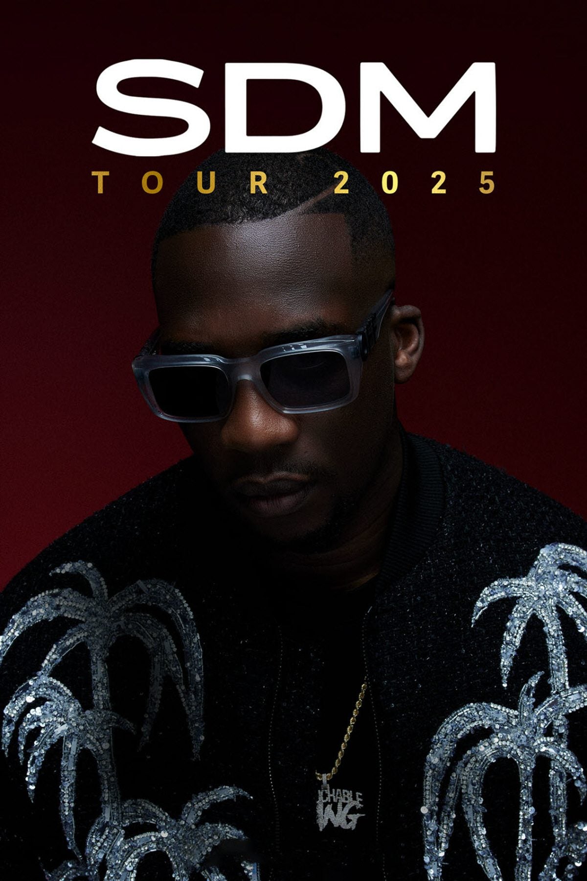 Billet Concert SDM - Zenith de Lille